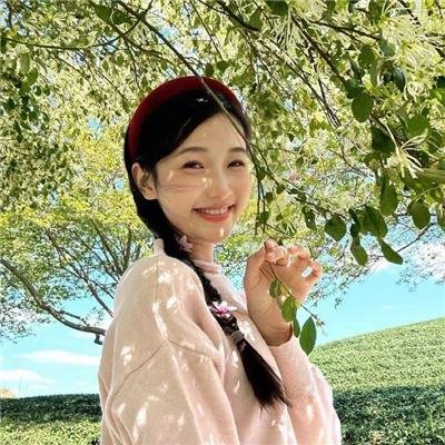 满目皆琳琅